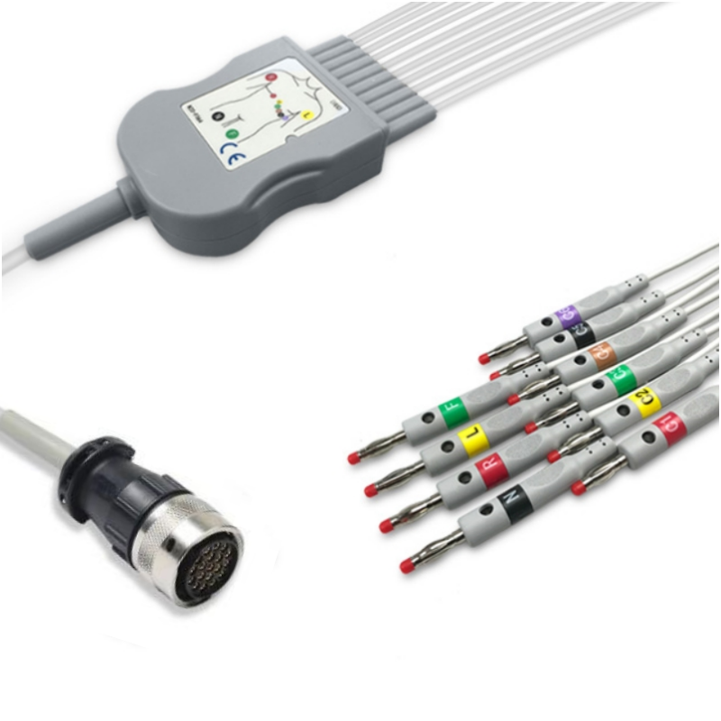 Mortara Quinton Q-4500 Patient EKG Cable 10-Lead Banana 4mm 019420-003 Compatible, EK-QT02-10BI